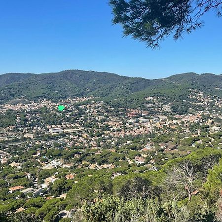 Palm Maresme - Suite With Bathroom And Terrasse With Ocean Views In A Private Villa Vilassar De Dalt エクステリア 写真